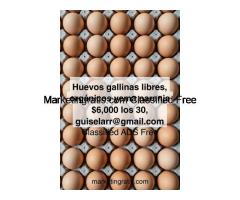 huevos orgánicos, de yema naranja suave, sin aditivos, 100% orgánicos