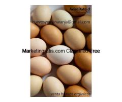 ¿Te gustan los huevos orgánicos, con yema naranja suave, sin aditivos y 100% naturales?