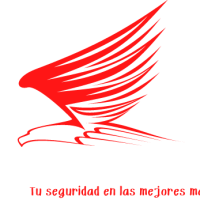 Servicio de seguridad privada en Los Ángeles Chile