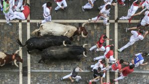 Understanding Bull Markets A Simple Guide